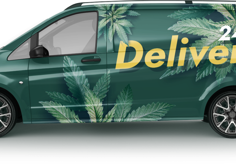 Marijuana Delivery to Your Hotel in Jamaica - Jah Livity