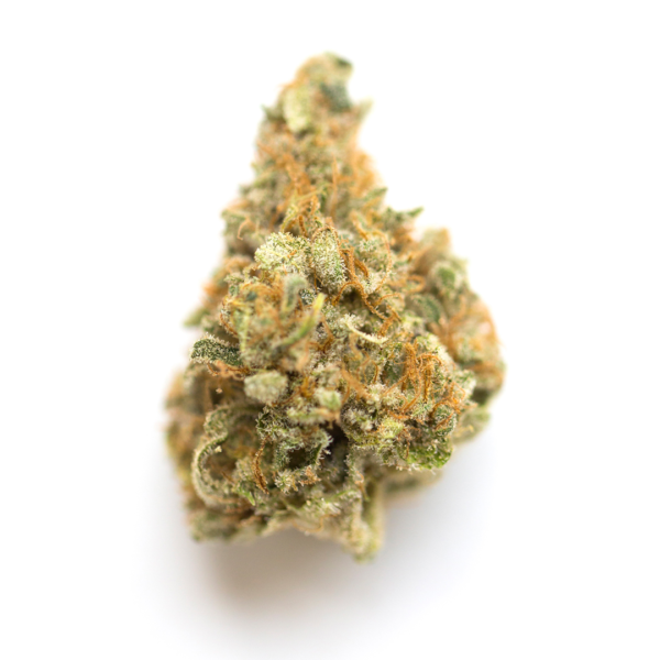 Gigabud Marijuana Strain - Jah Livity