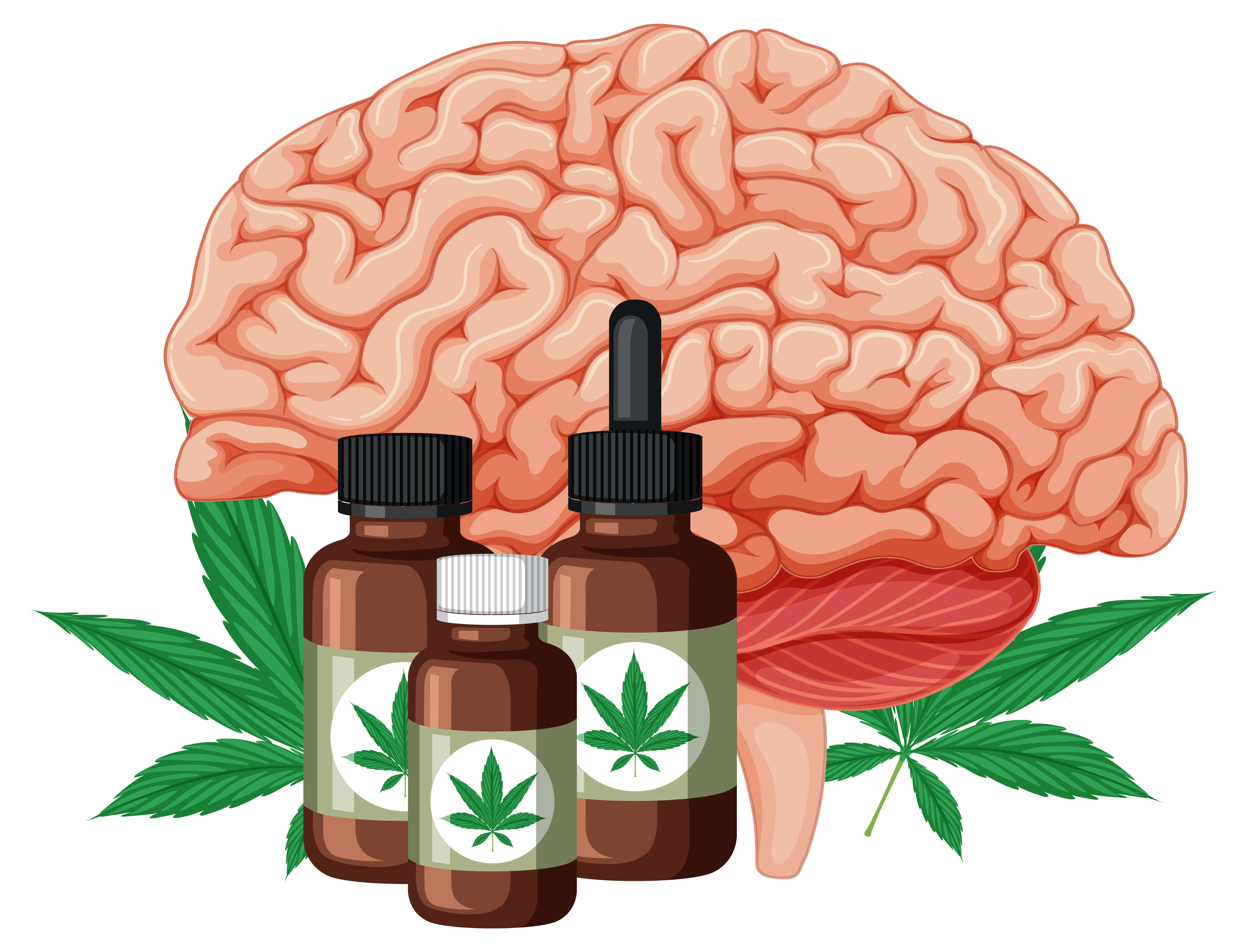 What Does THC Do To Thе Brain
