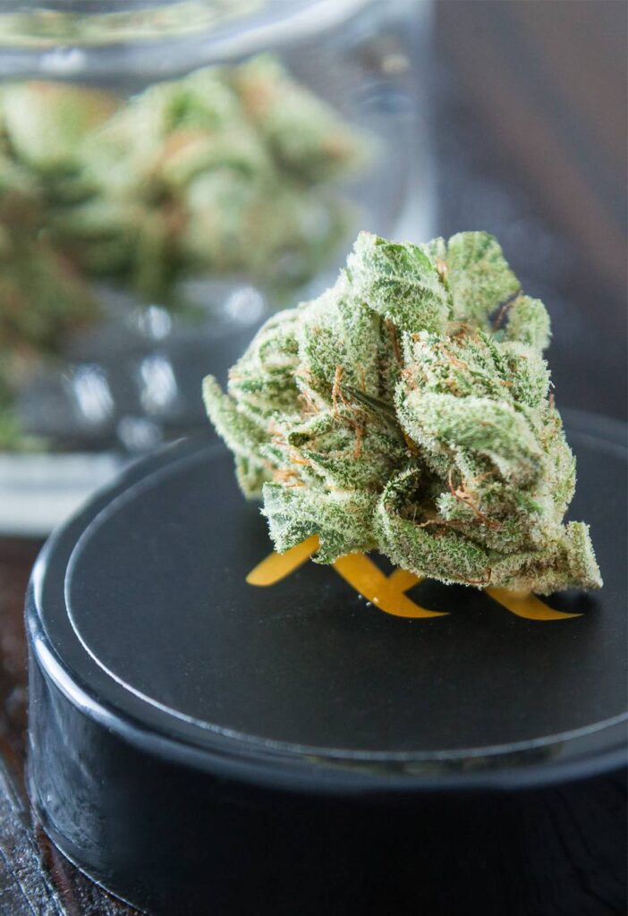 Raw cannabis flower